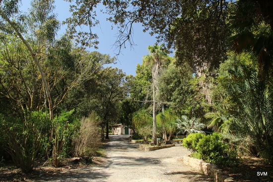 Auf dem Gelände der Foundation