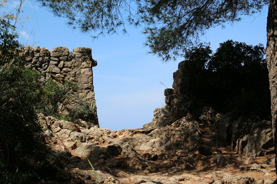 Der Weg ins Paradies