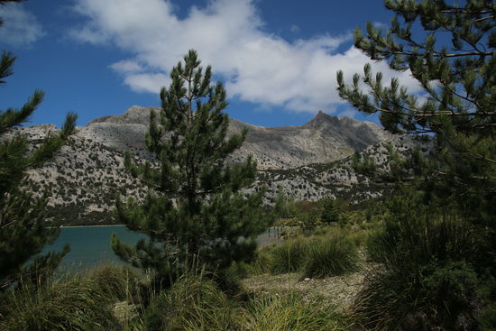 Wunderbar zum Laufen