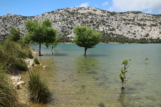 Interessantes Fotomotiv