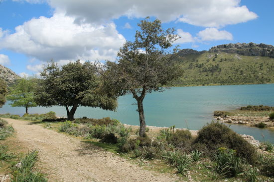 Der schöne Rundwanderweg um den Stausee