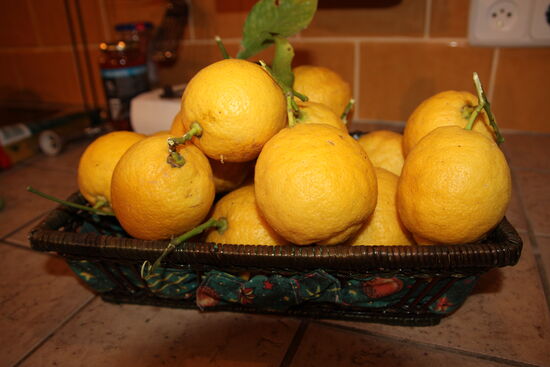 Frischer geht's nicht!