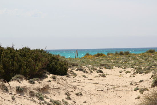 das Ist Es Trenc -Dünenstrand und Natur pur.