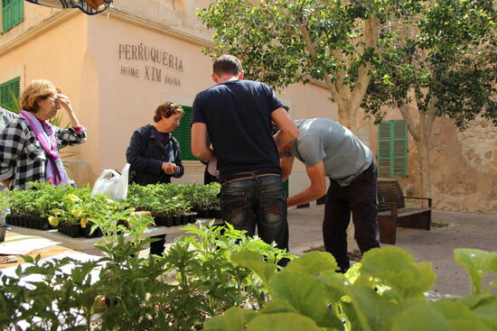 Gewürze und Kräuter frisch von der Insel