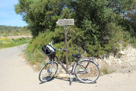 Die letzten Kilometer auf unserer Lieblingsinsel