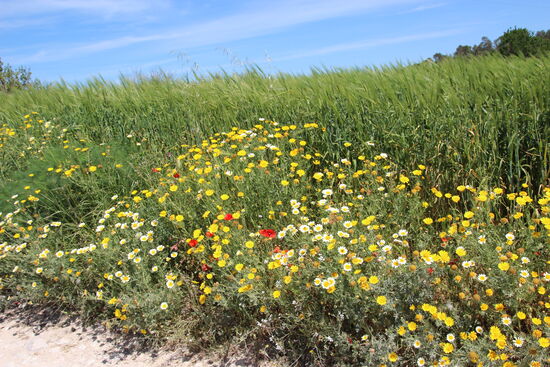 … und in Gedanken mit nach Hause.