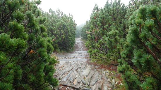 Auf dem Weg zur Schneekoppe