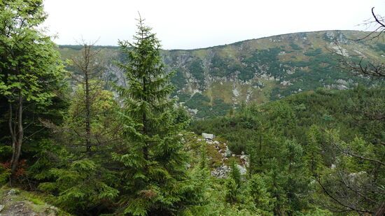 Unterwegs in Richtung Kleine Teichbaude