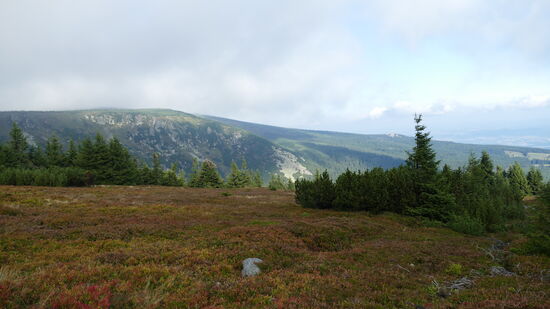Auf dem Weg von der Hampelbaude zur Wiesenbaude