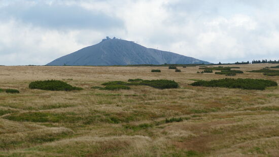 Blick zur Schneekoppe von dr Wiesenbaude aus