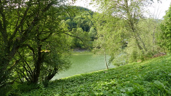 Rundweg um den Stausee