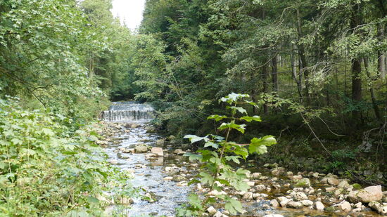 Wasserspiele an der jungen Elbe