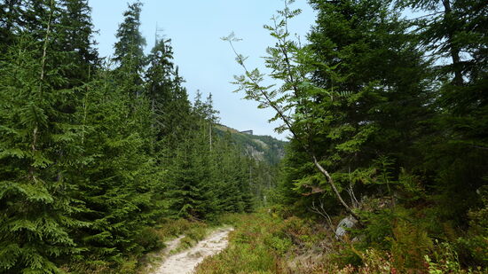 Seht ihr sie? Die Elbfallbaude ist in Sicht!
