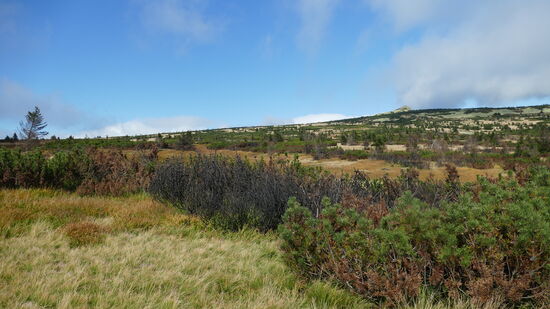 Auf dem Weg zur Elbquelle