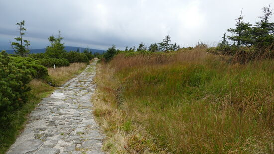 Dem Ziel schon ganz nah- noch zwei Kilometer bis zum Tagesziel