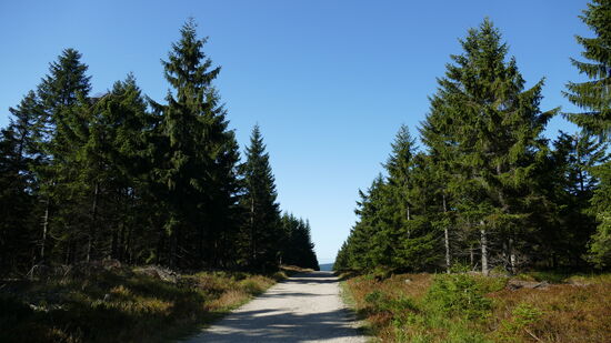 Auf gehts! Der Wanderweg am Beginn