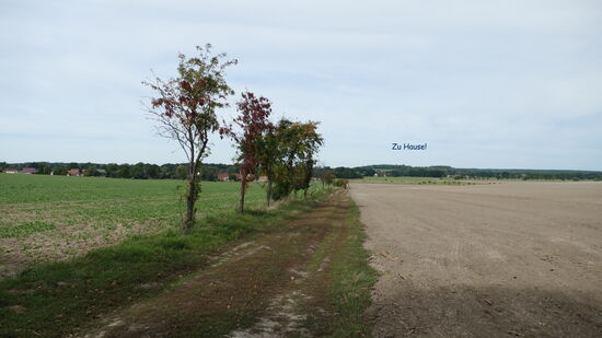 Nach 115 Kilometern und ganz vielen neuen Erfahrungen auf dem Weg nach Hause!