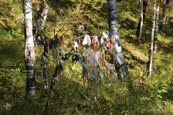 Überall die bunten Bänder