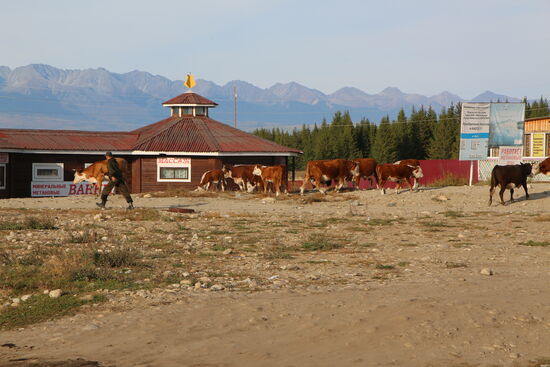 Auch in der Architektur erkennt man die Nähe zur Mongolei