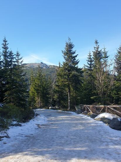 Blick zum Reifträger