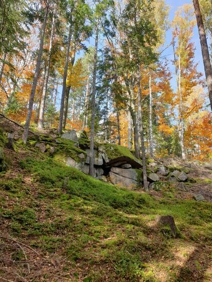 Herbstgold