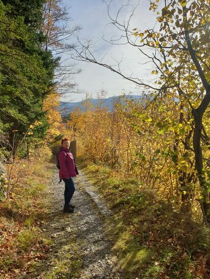 Goldener Herbst
