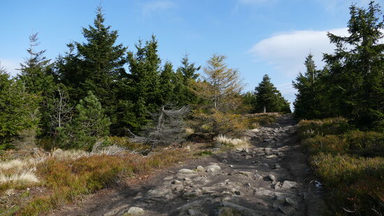 Herbst im Isergebirge
