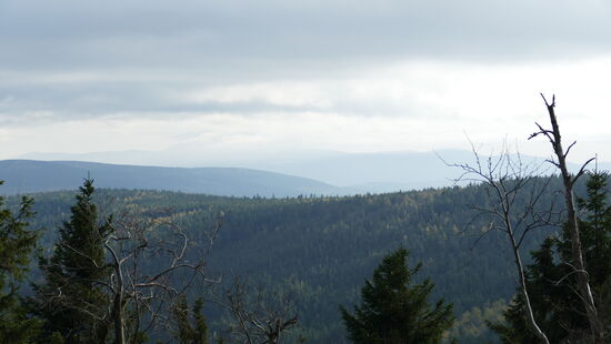 Blick ins Riesengebirge