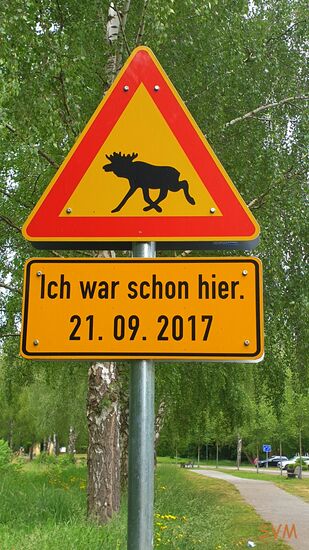 Sieh an! Hier kam ein Elch vorbei,...