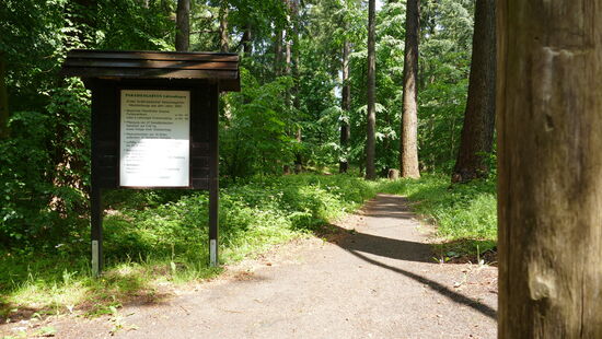 Eingang zum Paradiesgarten