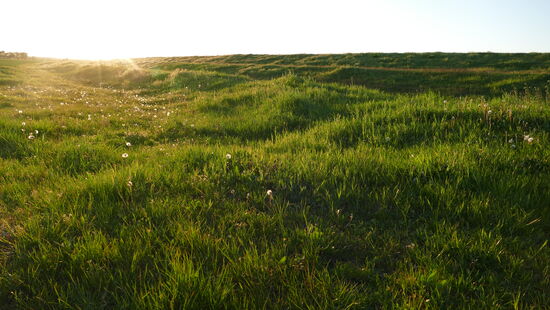 Welch herrliche Abendstimmung!