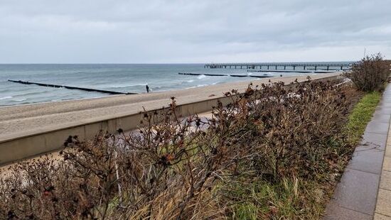 An der Promenade mit Blick zur Seebrücke Kühlungsborn- Ost