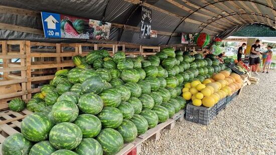 Mittlerweile Tradition-Melonenkauf gleich hinter der Grenze