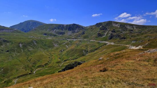Transalpina