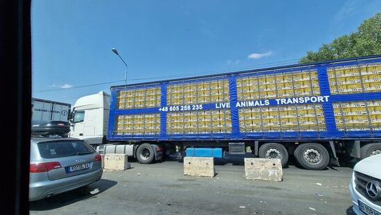 Nicht so schön. Dieser Tiertransporter (Hühner) stand sehr lange schattenlos an der Grenze und wartete auf Abfertigung.