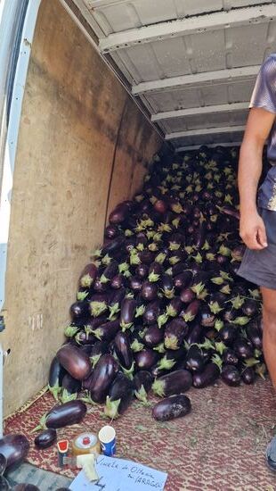 Direktverkauf aus dem Transporter heraus.