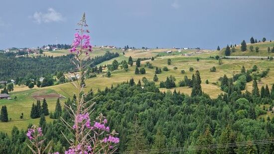 Einzigartige Landschaften