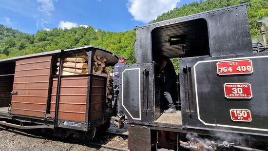 Natürlich Holzfeuerung