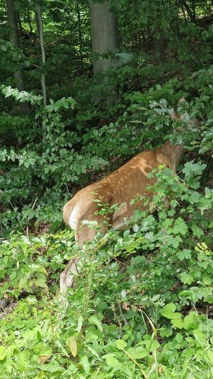 Ein besonderes Erlebnis!