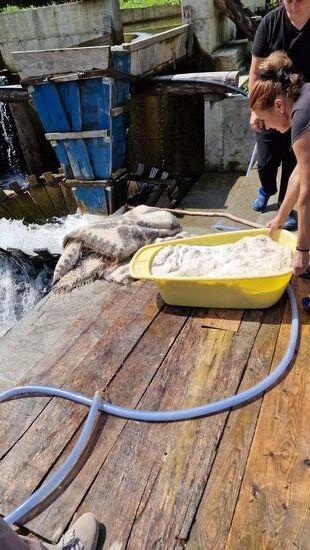 Natürliche Teppichwaschanlage