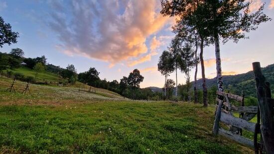 Unser letzter Abend in der Maramuresch