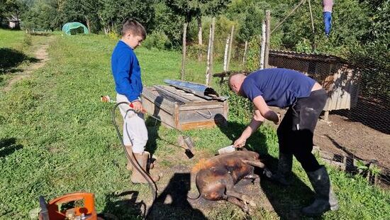 Abflammen. Mit Zufriedenheit und Ruhe.