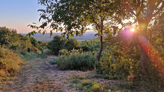 Zum Sonnenuntergang hinauf auf den Hügel