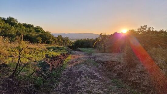 Rumänischer Sonnenuntergang