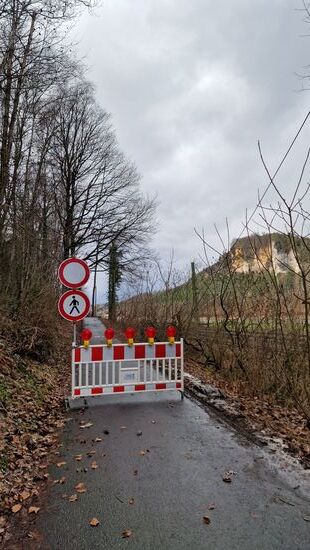 Schade, aber Baumfällarbeiten sind auch wichtig.