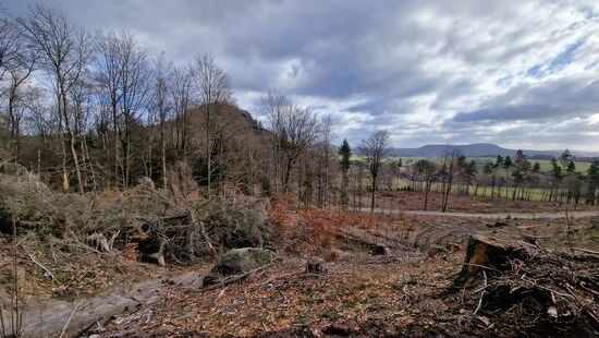 Erste Blicke hinüber zum Papststein