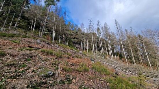 Wir wollen hoch hinaus!