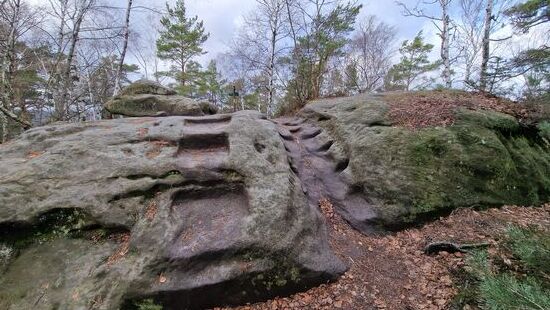 Links oder rechts? Welchen Weg würdest Du gehen?