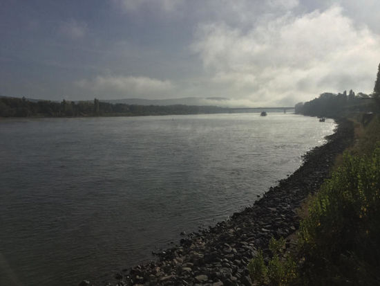 Das ist der Rhein bei Bonn. Ein kurzer Rückblick. Wunderschön! Gerade im Herbst.