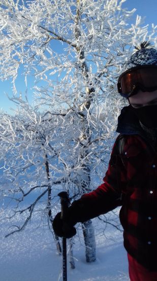 Bei Temperaturen jenseits der -10°C gefriert der Schnee an den Bäumen und hinterlässt wunderschöne Eiskristalle.